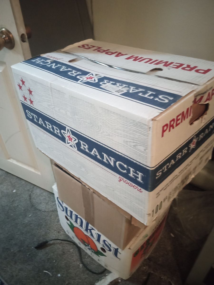 Free expired canned food