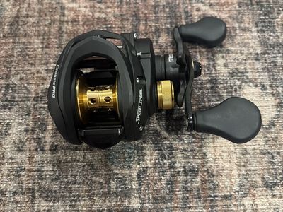 Lews baitcasting fishing reel