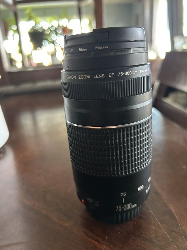 Canon EF 75-300 III