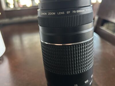 Canon EF 75-300 III
