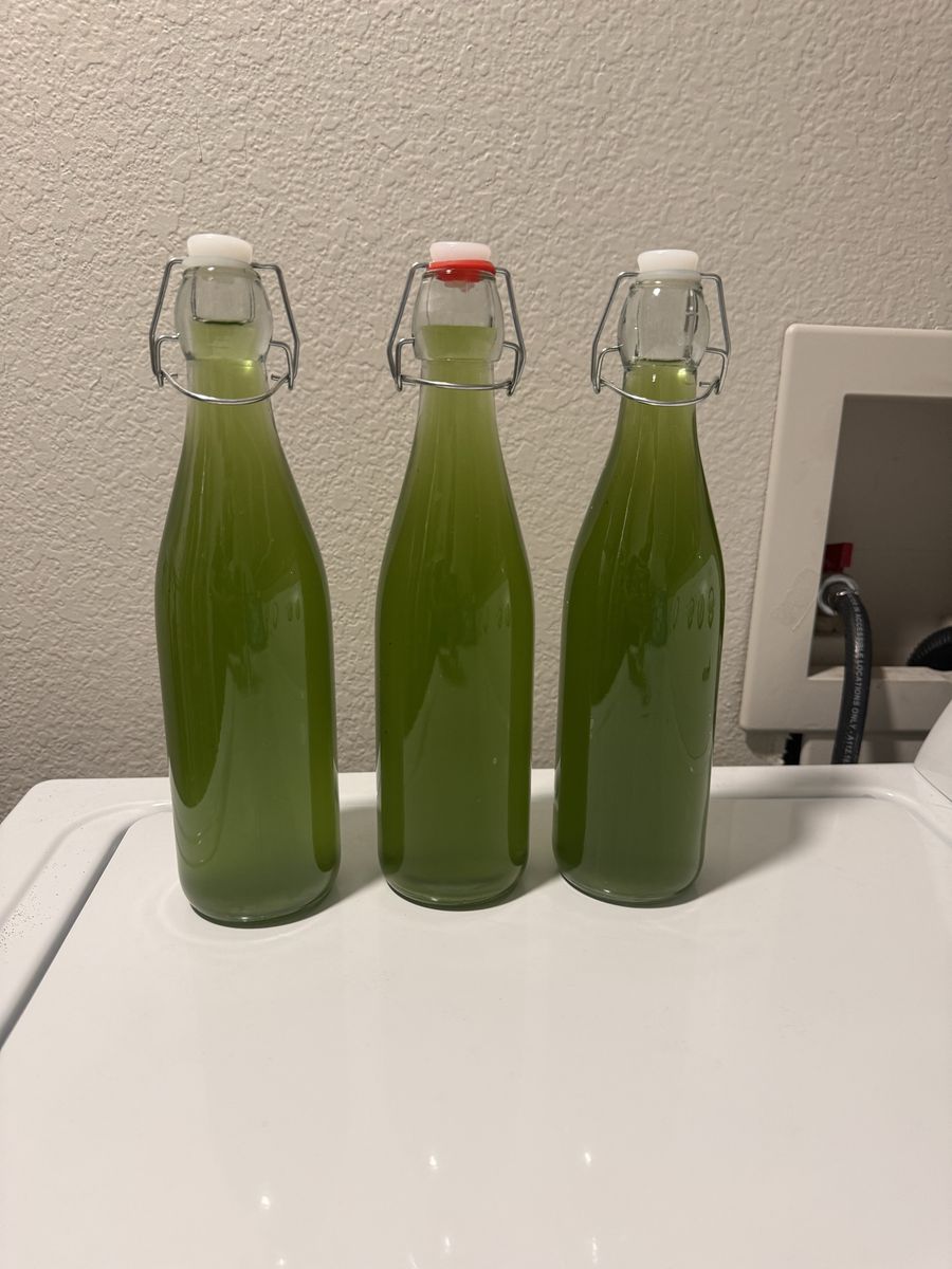 Phytoplankton 16 onz bottle