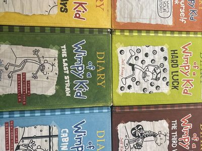 DIARY OF A WIMPY KID BOOKS