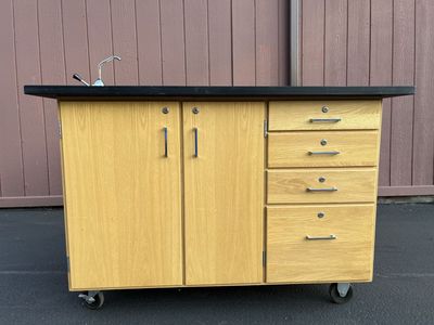 Portable Lab Station Mobile Sink Storage Cabinet Garage Storage Workbench