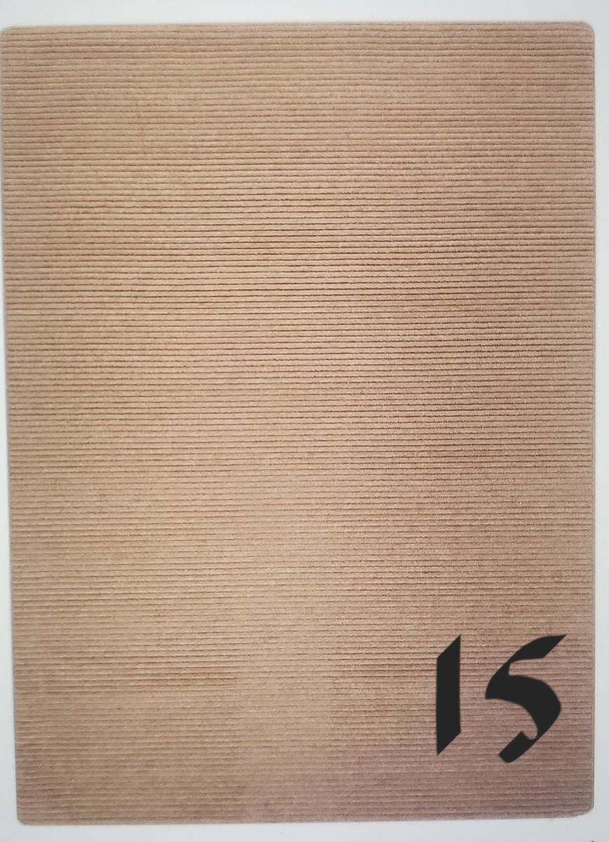 Diego 8x10 Area Rug - Solid Beige - Non Slip Backing - Machine Washable - Polypropylene - New