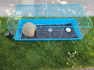 Pet Cage - Blue Base, Wire Top with Hideout bottle water food plate -, Ready for Your hamster or guinea pig