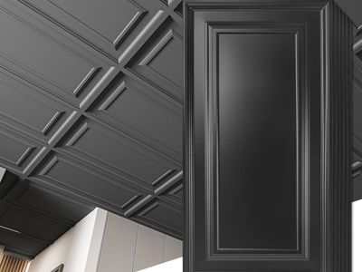 New in box- 12 Elegant Black PVC Ceiling Tiles - Modern Style, Lightweight Decorative Panels 96 sq. Ft