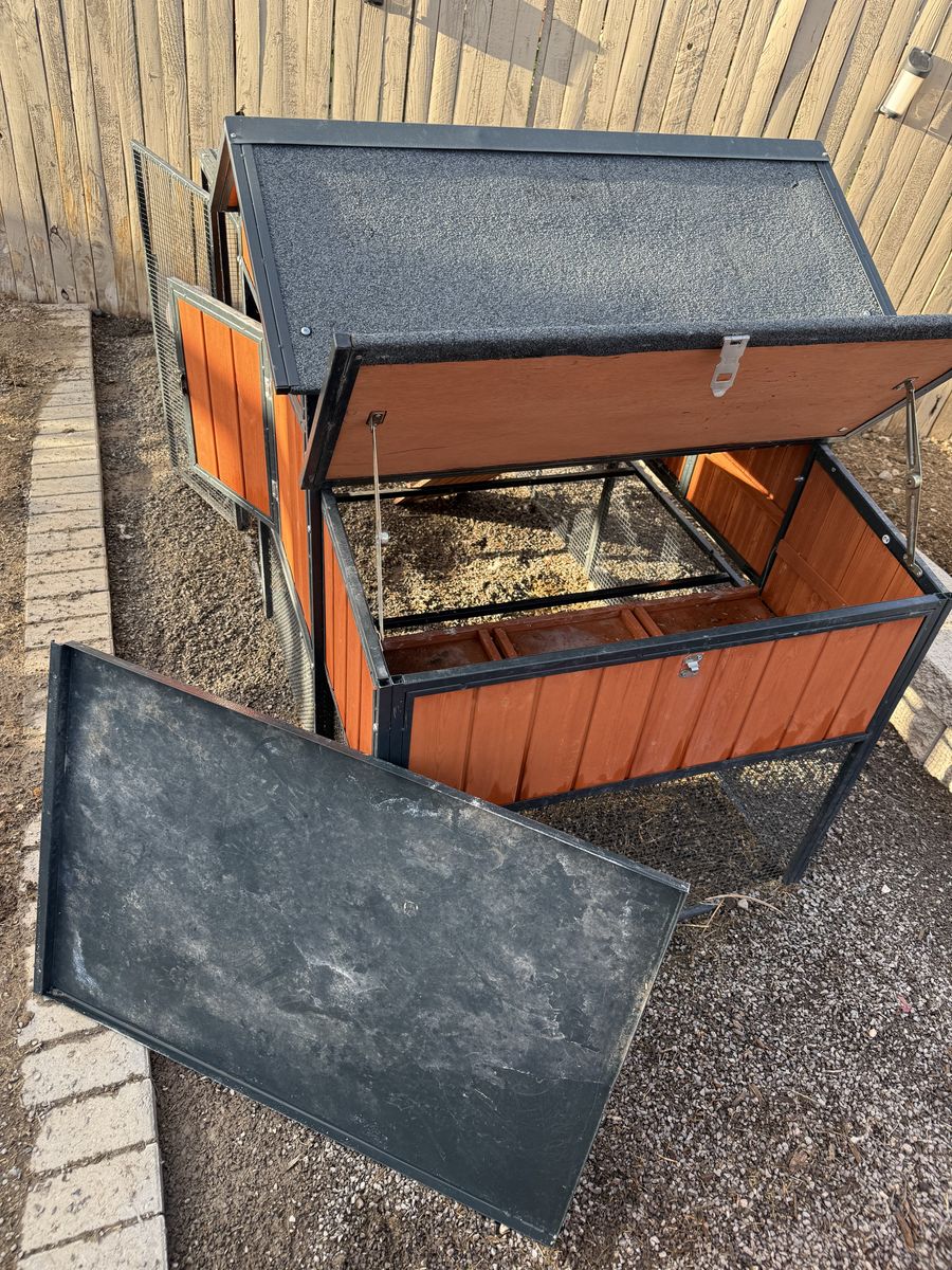 Main image 4