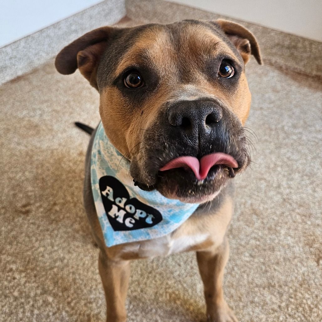 Hello my name is Joker