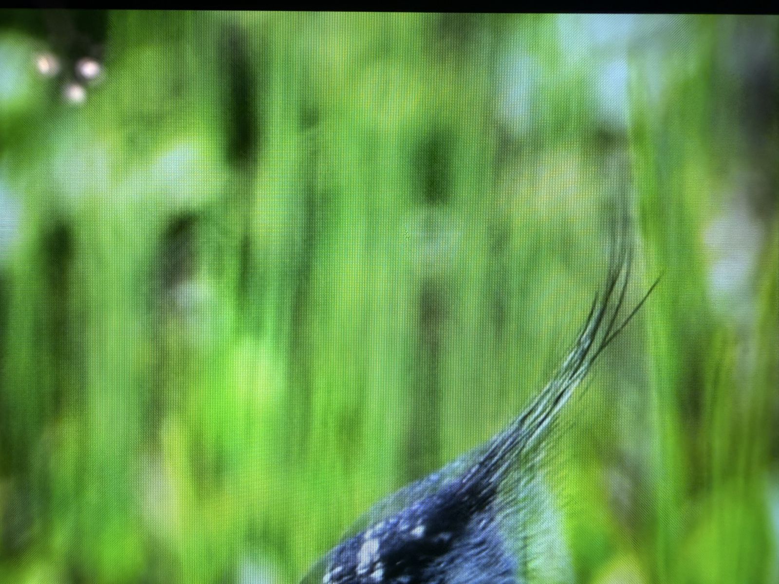 Main image 5