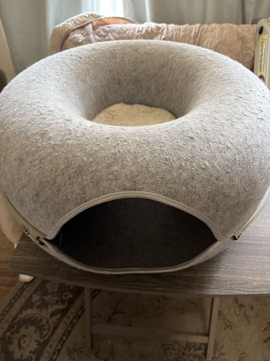 Cat donut