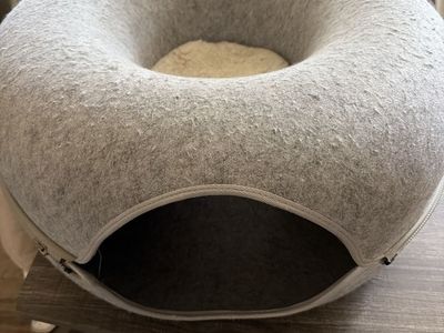 Cat donut