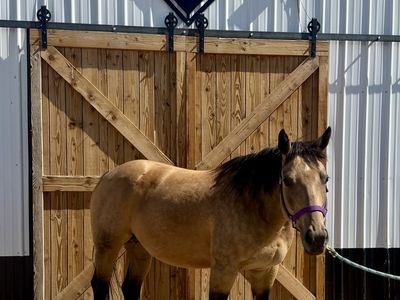 Broodmare sold alone or package deal!