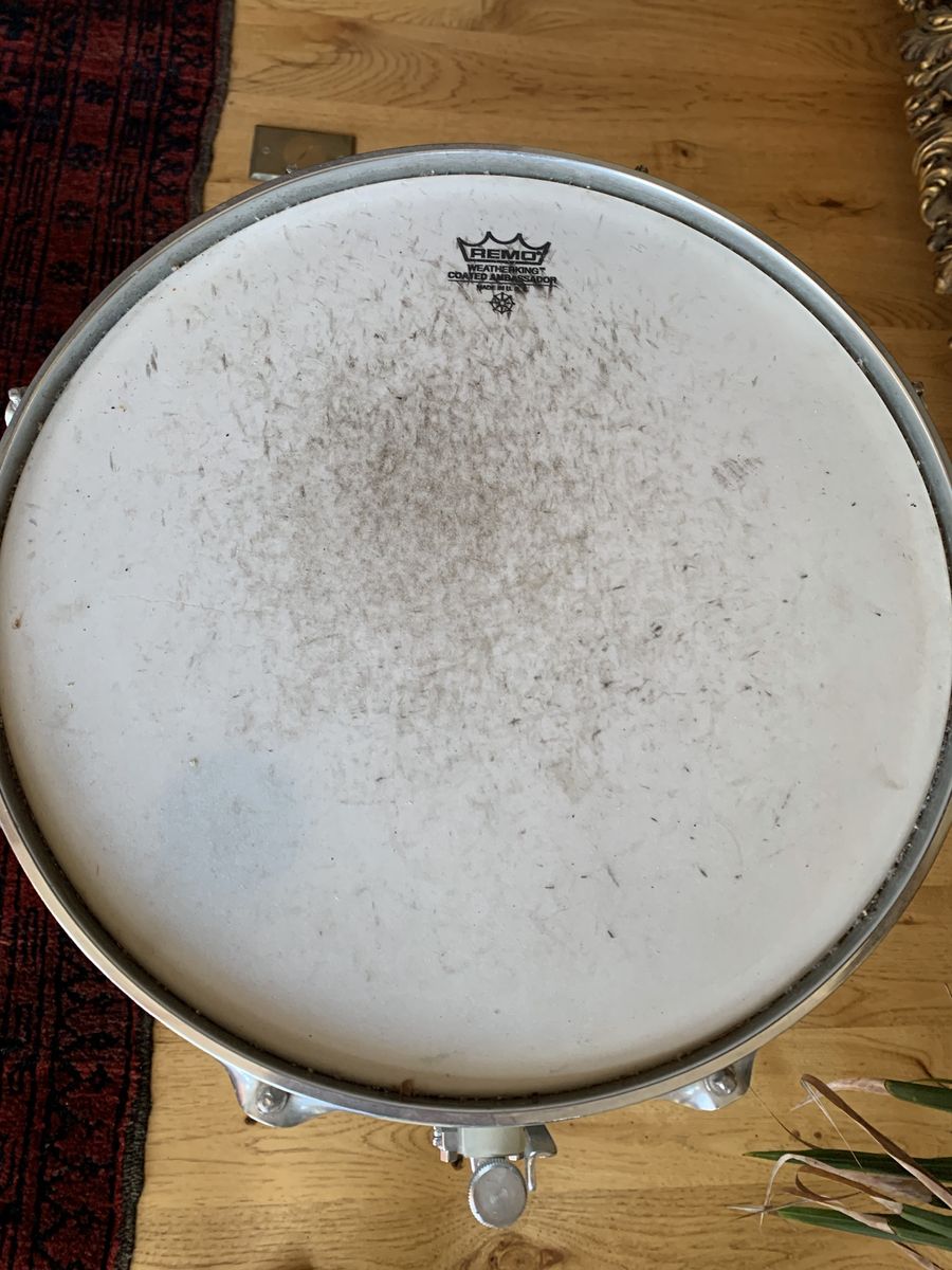 Remo Snare Drum with Stand - Coated Ambassador Head, Chrome Finish