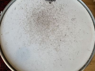 Remo Snare Drum with Stand - Coated Ambassador Head, Chrome Finish