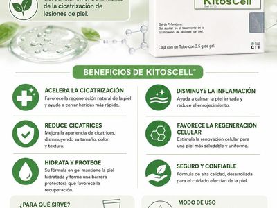 Kitoscell - new