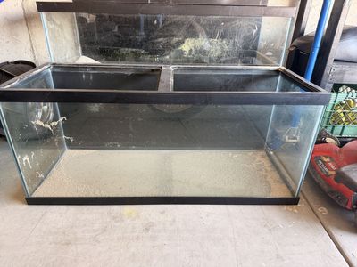 75 Gallon Aquaium