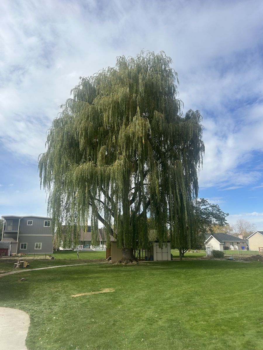 Main image 18