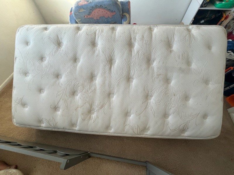 FREE twin mattress