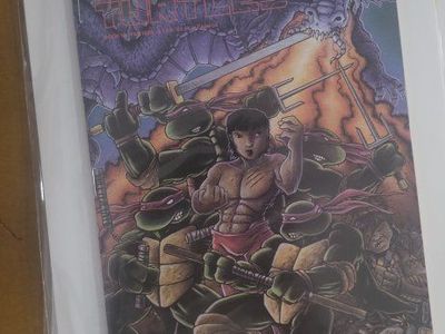 Comic Book Lot Superman Radio Shack Promo Transformers War Within Gargoyles TMNT