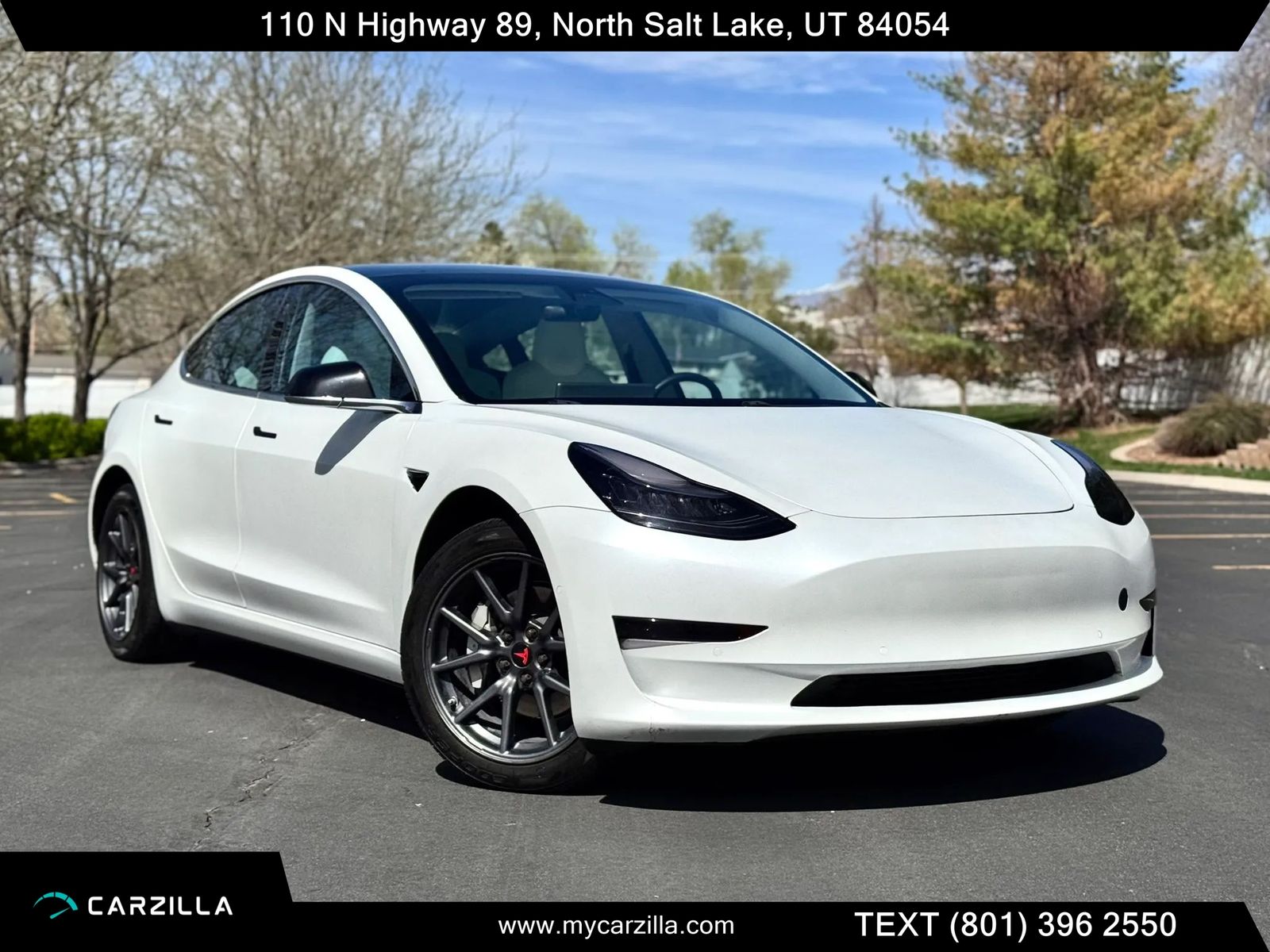 2019 Tesla Model 3 Performance