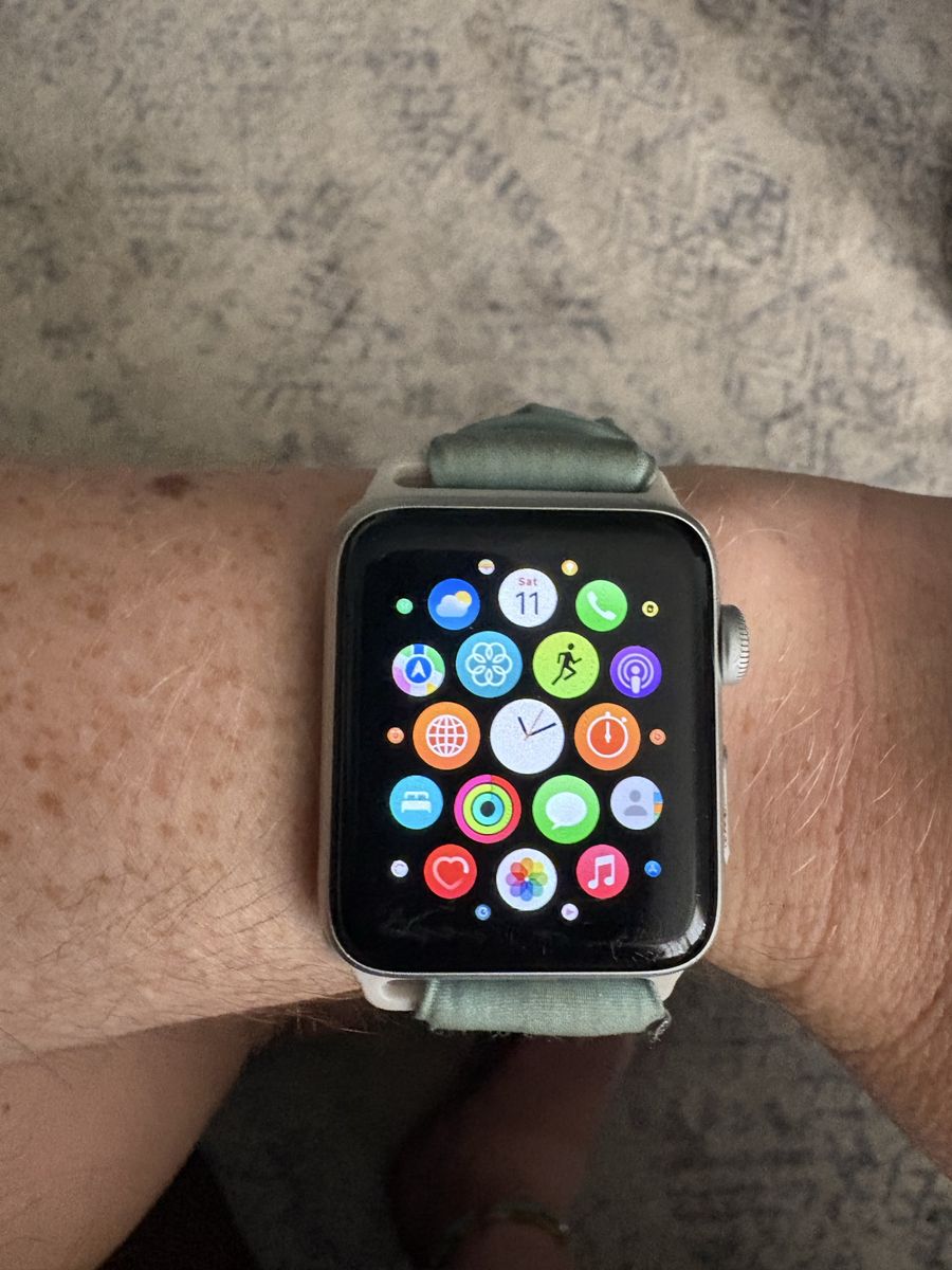Apple Watch Series 3 GPS 42mm Space Gray Aluminum Case with Charger