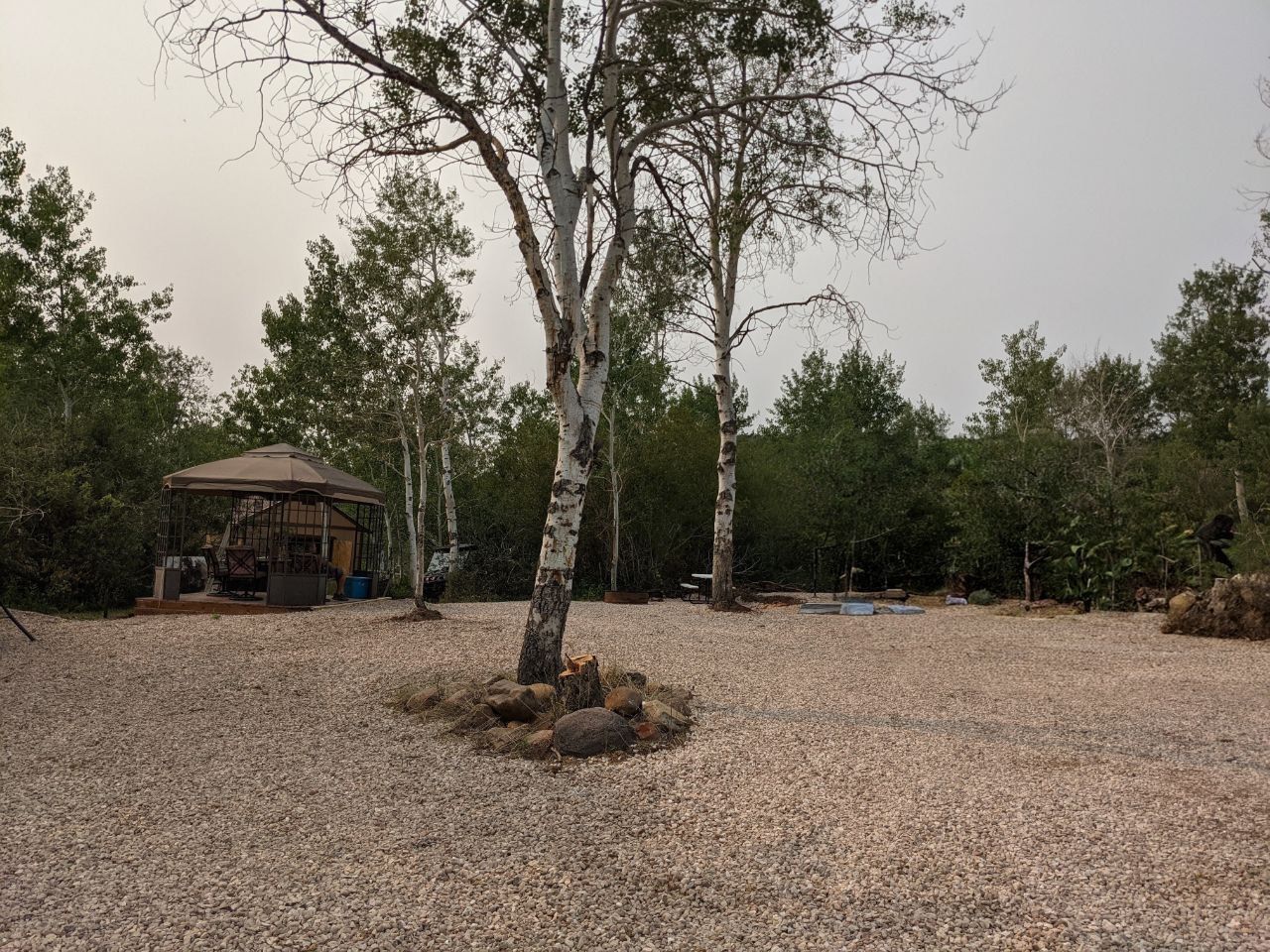 Improved Campsite on ½ acre for Sale at Sourdough Wilderness Ranch - $69,500