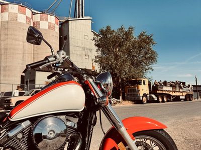 Clean 1996 Kawasaki Vulcan 800 Classic
