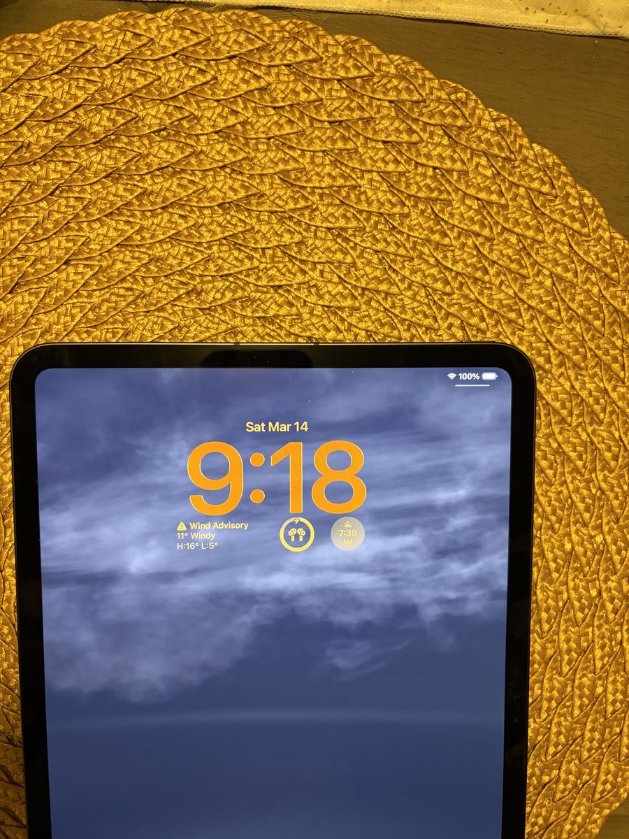 Ipad Pro Cellular-wifi 256 Gb 2025
