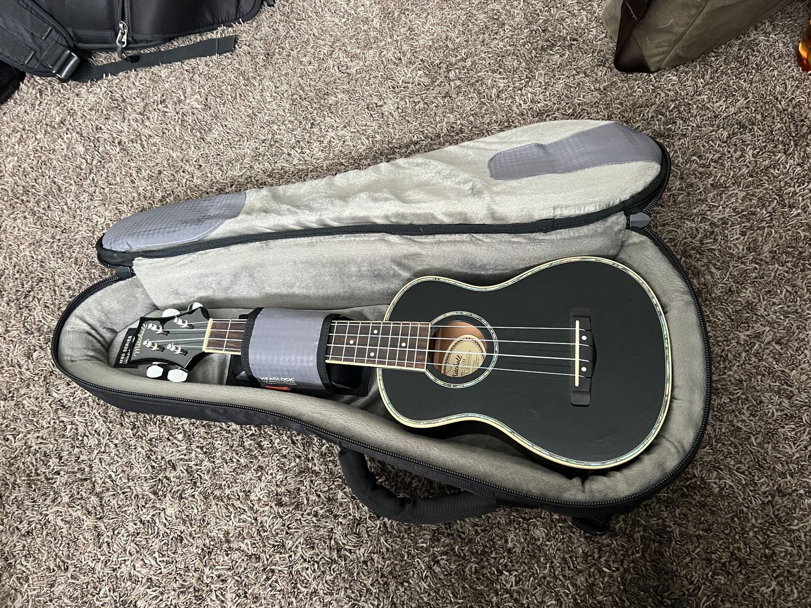 Mitchell Concert Ukulele with Mono Case