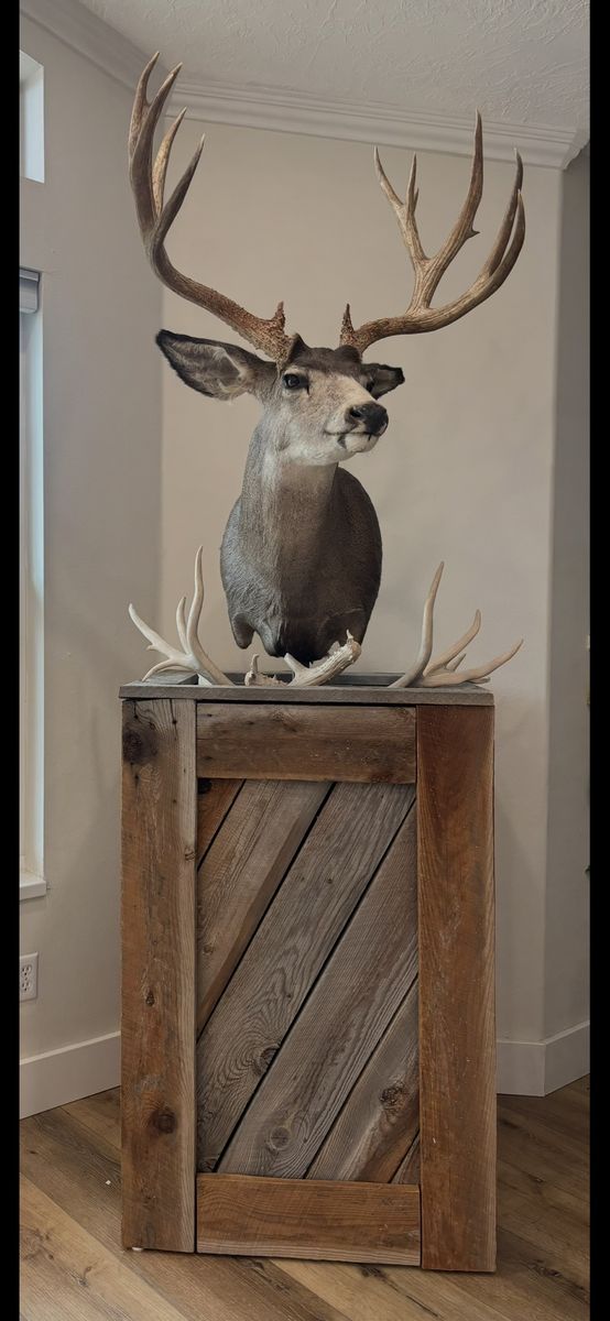 Main image 3