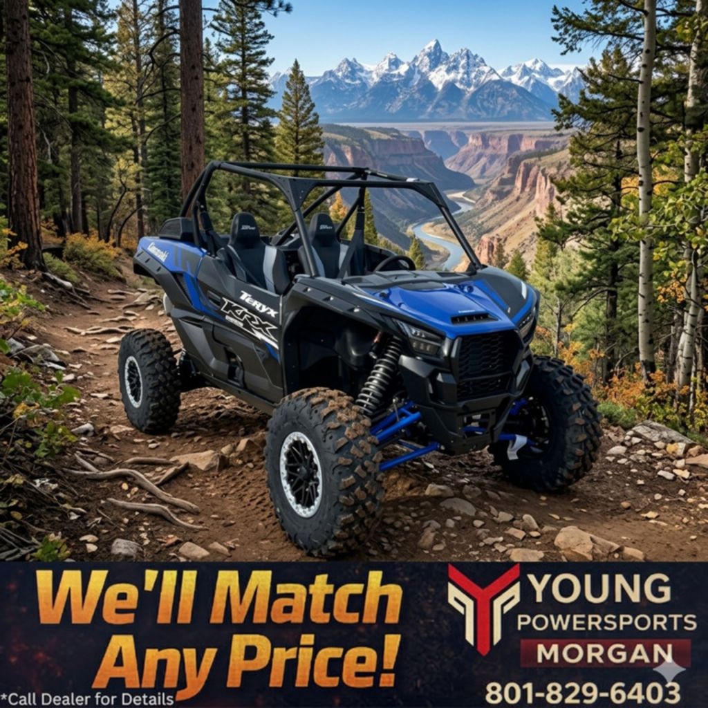 2025 Kawasaki Teryx KRX® 1000