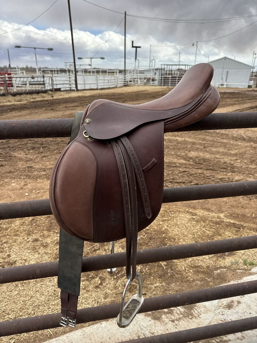 Camelot saddle