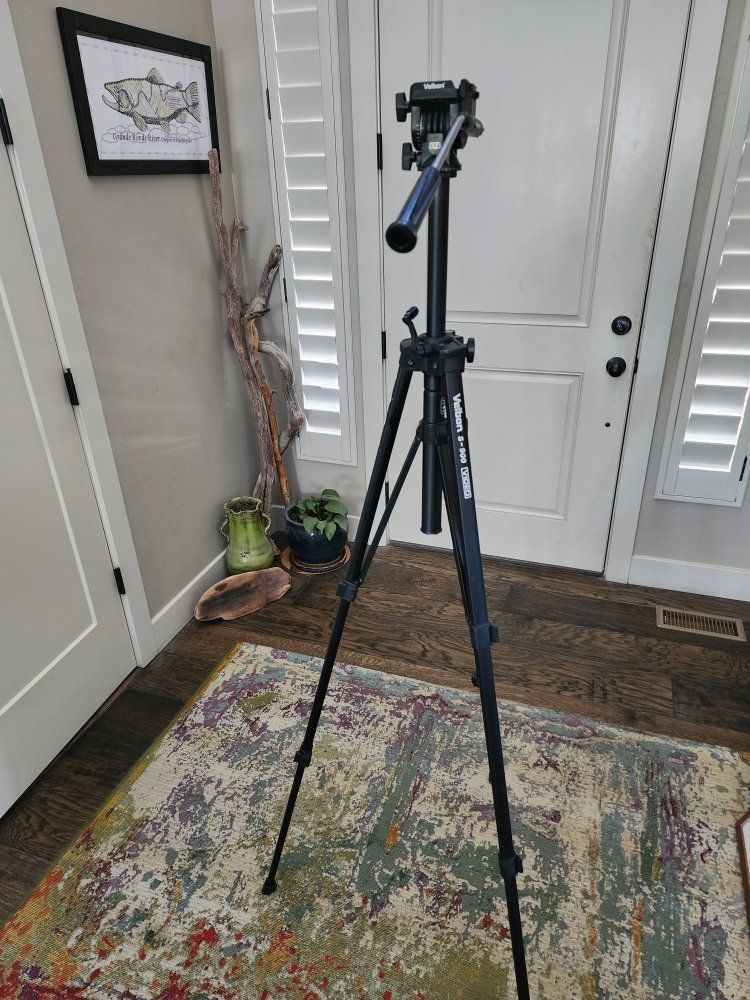 Main image 2