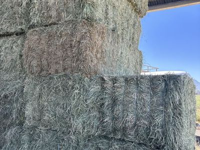 3x4 grass hay 1400 bales