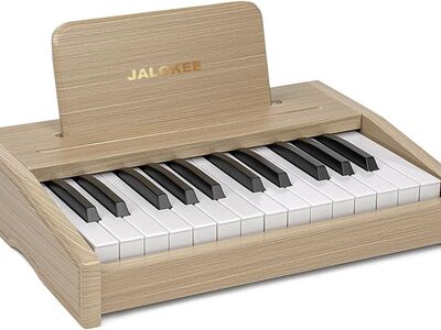 NEW Kids Piano Keyboard, Digital Piano for Kids, Music Educational Instrument Toy, Wood Toy for 3+(WHITE, 25 Keys)