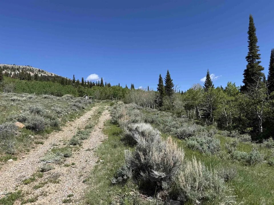 Main image 6