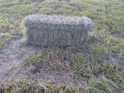 Grass hay ready for pickup