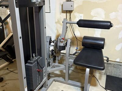 Life Fitness Back Extension/ab