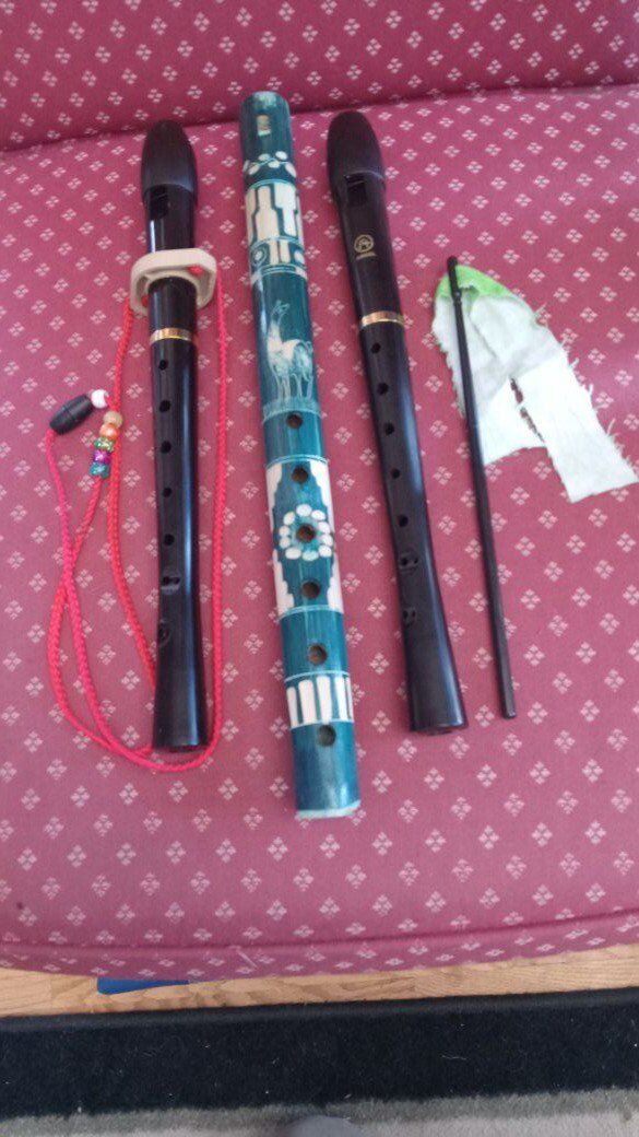 3 Musical Recorders High Quality Beginner Black & Peru Wooden Handmade
