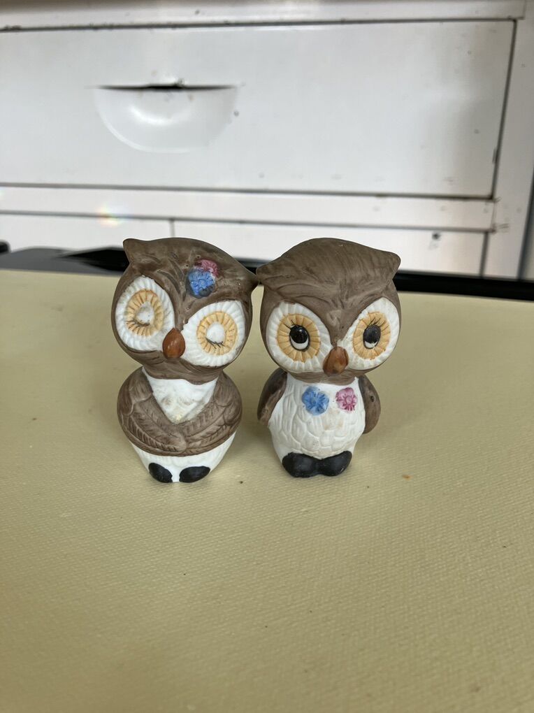 Vintage CeramIc Owl Salt And Pepper Shaker Set