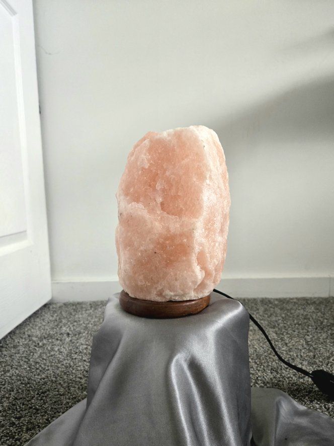 Main image 6