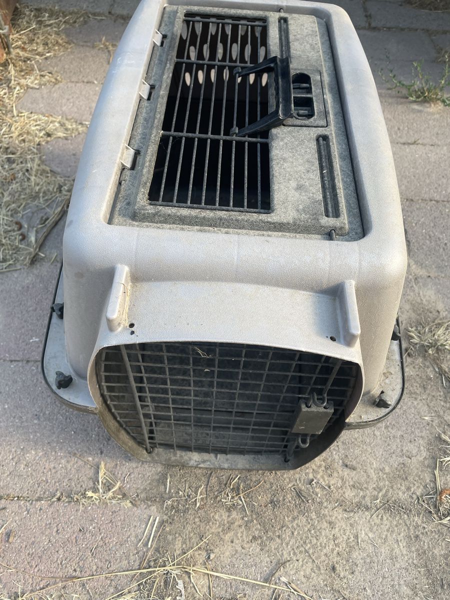 Kennel