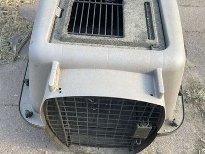 Kennel