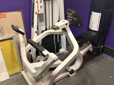 Icarian Seated Row 310 Back Machine - Commercial Grade, Plate Loaded, White