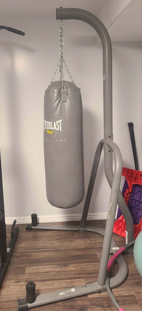 punching bag and stand