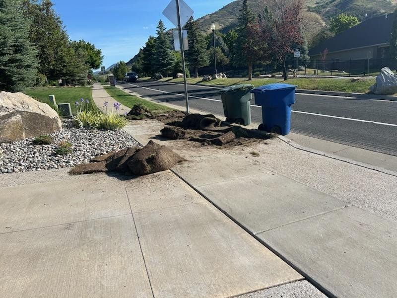 SOD - FREE