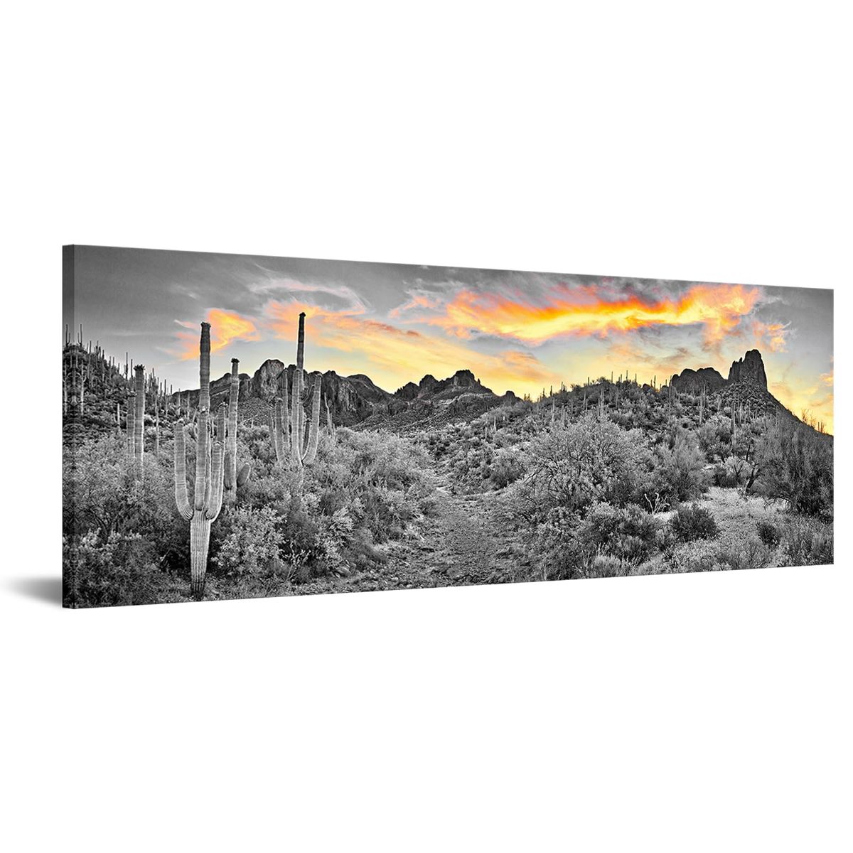 New Sonoran Desert Canvas Art Sunset Cactus USA Natural Landscape Picture Print 20x48