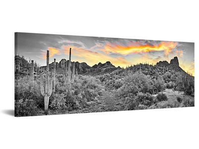 New Sonoran Desert Canvas Art Sunset Cactus USA Natural Landscape Picture Print 20x48