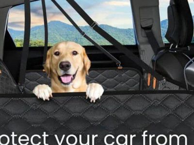 6 in 1 Dog Car seat cover