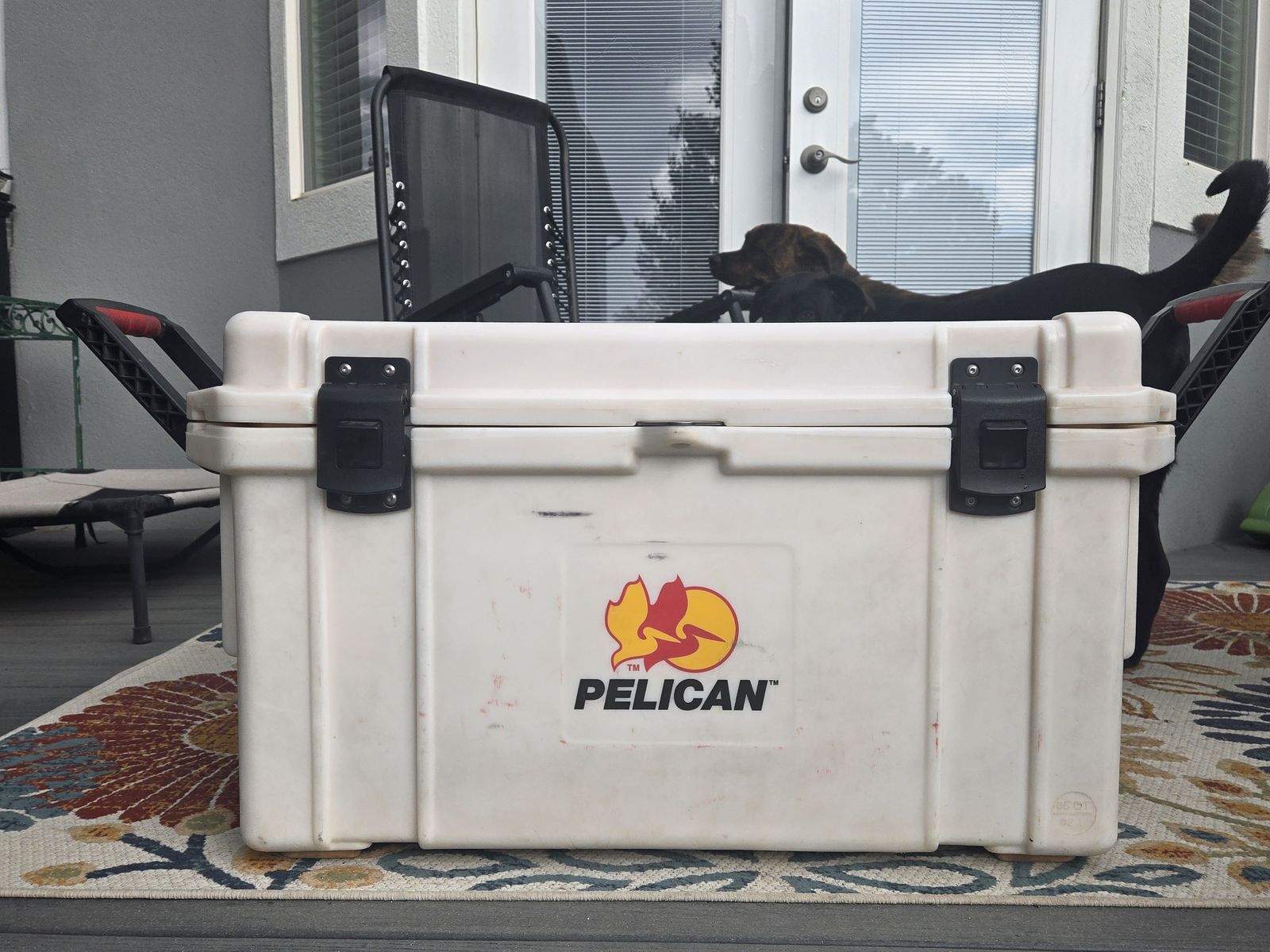 65 Qt. Pelican Cooler